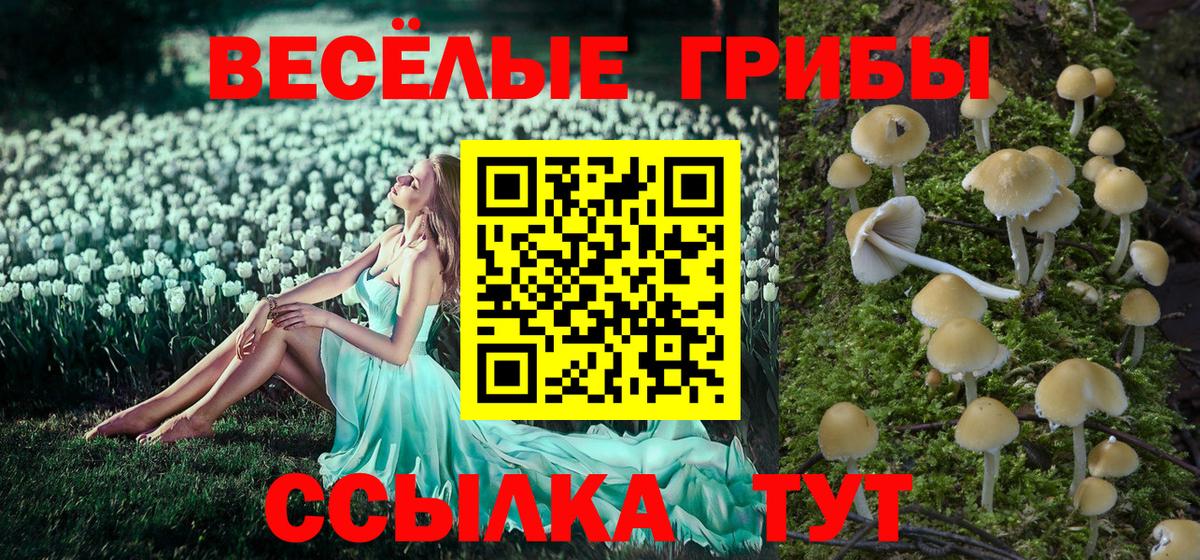 Псилоцибиновые грибы MAGIC MUSHROOMS Хабаровск